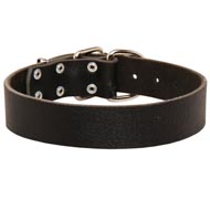 Wide Leather Collie Collar for Training and Walking