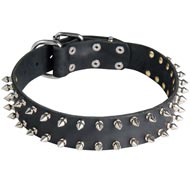 Leather Collie Collar with 2 Rows of Nickel Spikes