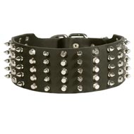 Collie Leather Collar Spiked and Studded
