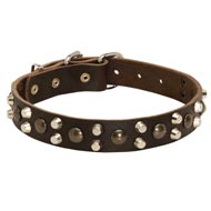 Leather Collie Collar With Studs and Pyramids