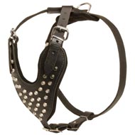 Adjustable Leather Collie Harness Studded for Fashion Walking