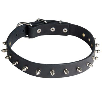 Collie Dog Leather Collar Steel Nickel Plates Spikes