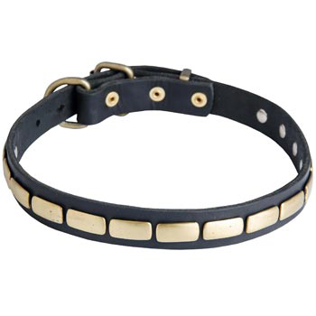 Walking Leather Collar with Brass Decoration for Collie