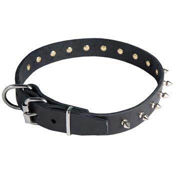 Collie Leather Collar with Spikes