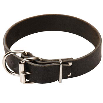 Collie Leather Collar