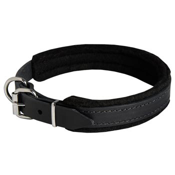 Padded Leather Collie Collar Adjustable