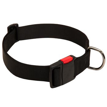 Nylon Collie Collar for Training and Waling