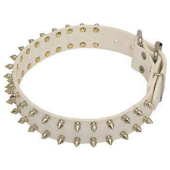 Spiked White Leather Collar for Collie Walking