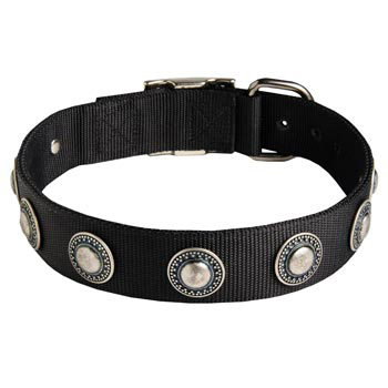 Collie Dog Nylon Collar Awesome Design