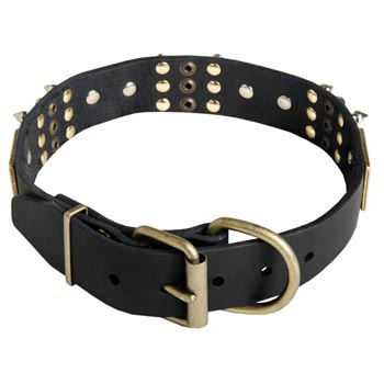 Studded Leather Collie Collar for Walking