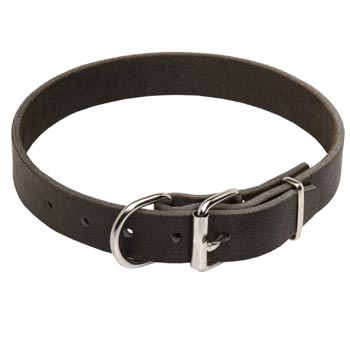 Dog Leather Collar for Collie Training and Walking
