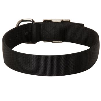 Nylon Collar for Collie Comfy Training