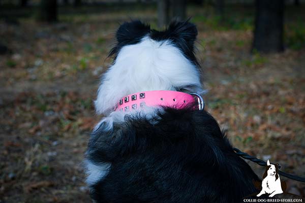 Collie pink leather collar easy-to-adjust studded for quality control