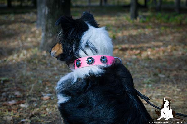 Collie pink leather collar with elegant plates for daily activity