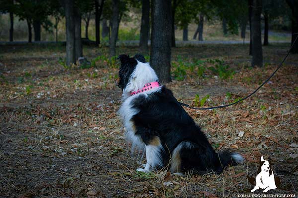 Collie pink leather collar of high quality adorned with studs for daily activity