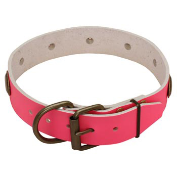 Fashion Pink Leather Collie Collar