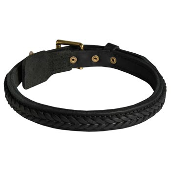 Braided Leather Collar for Collie