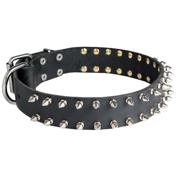 Spiked Leather Collar for BRED-NAME