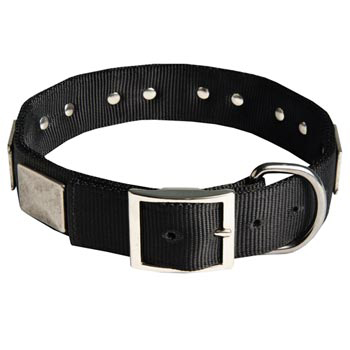 Designer Nylon Dog Collar Wide with Easy Release Buckle for   Collie