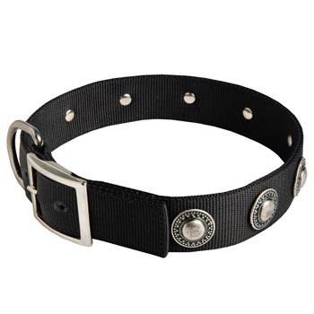 Collie Dog Nylon Collar Steel Nickel Plated Conchos