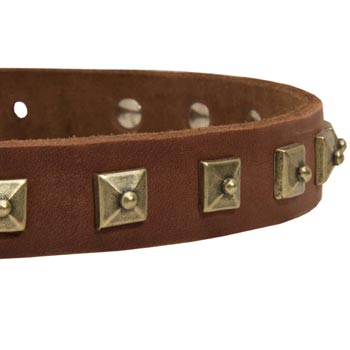 Collie Leather Collar With Square  Studs