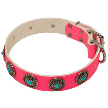 Safe Walking Leather   Collie Сollar Pink Studded