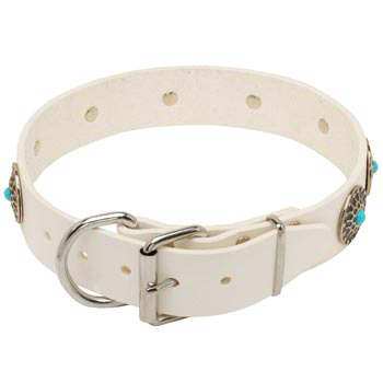 Leather   Collie Collar White Fancy for Dog Training, Walking