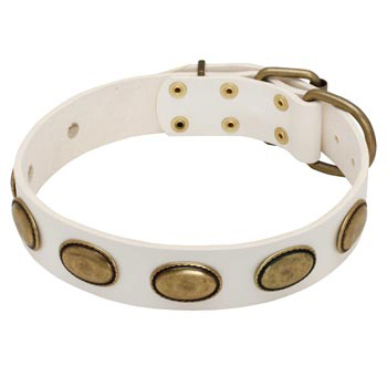 White Leather Collie Collar with Vintage Oval Plates