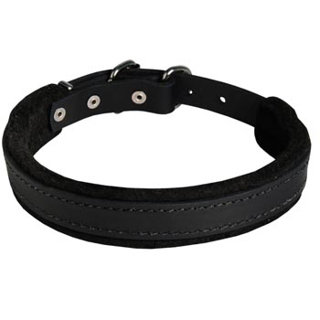 Collie Collar Leather for Dog Protection Attack Training