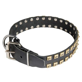 Leather Collie Collar with Solid Rivets