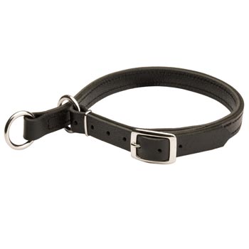 Collie Obedience Training Choke  Leather Collar