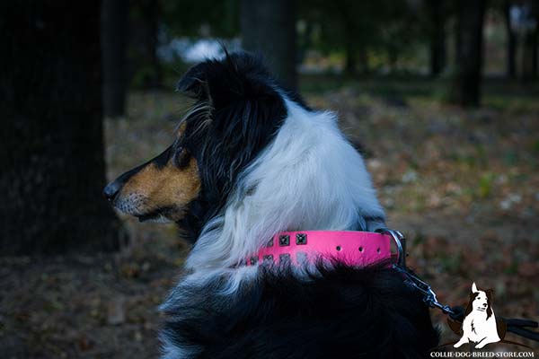 Decorated pink leather canine collar for Collie