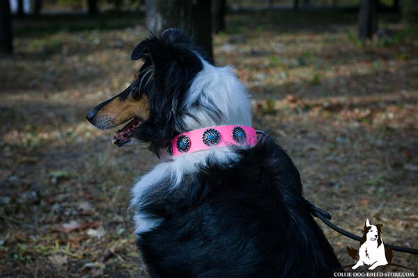 Amazing leather canine collar for Collie with blue stones