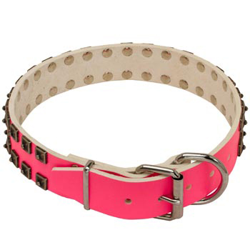 Collie Pink Leather Collar for Walking She-Dogs