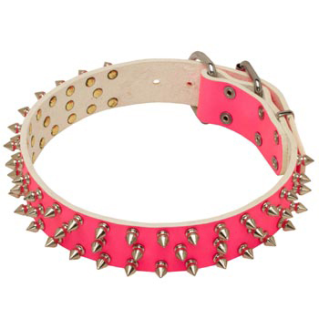 Pink Leather Collar for Collie She-Dogs