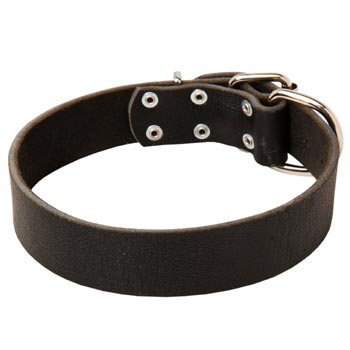 Unbelievable Collie Strict Style Leather Dog  Collar