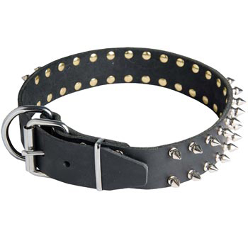 Spiked Leather Dog Collar for Collie Fashion Walking