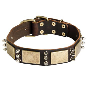 War-Style Leather Dog Collar for Collie