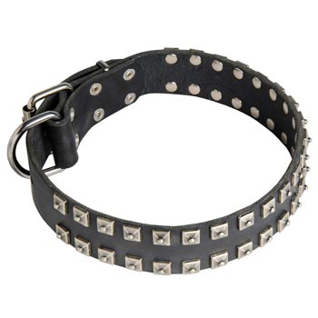 Leather Collie Collar Wide Strong Studded