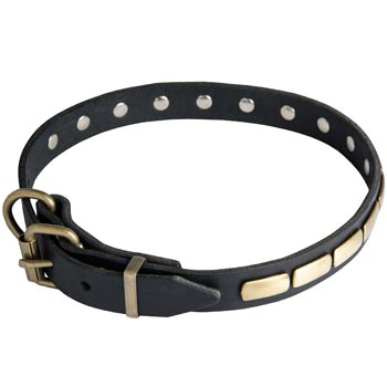 Collie Leather Dog Collar with steel old brass plated Buckle 