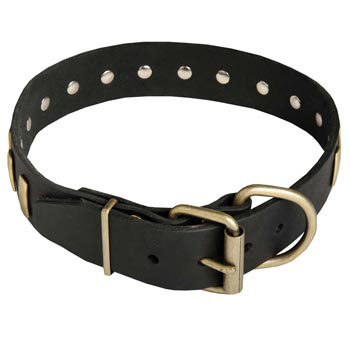 Unique Design Leather Dog Collar with Adjustable Buckle for   Collie
