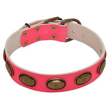 Pink Leather Collie Collar for Female Dogs