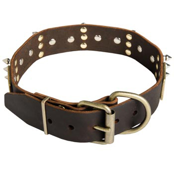 Spiked Leather Collie Collar