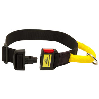 Nylon Collie Collar with Quick Release Buckle