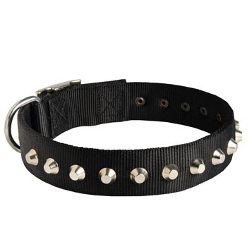 Walking Nylon   Collie Collar Nickel Studded Waterproof