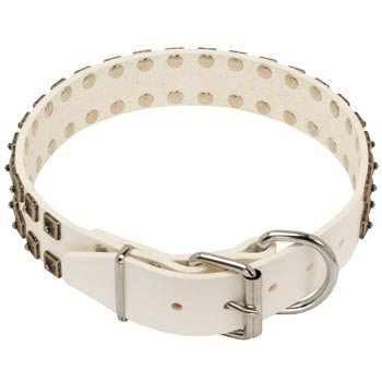 White Leather Dog Buckle Collar for Collie