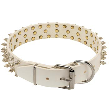 Spiked Leather Collie Collar
