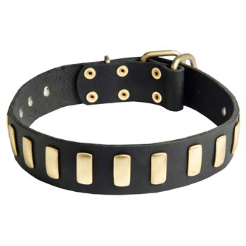 Collie Collar Leather with Brass Hardware
