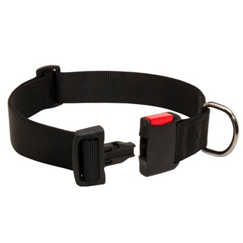 Reliable Nylon Collie Collar