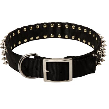 Collie Wide Dog Nylon Collar Spiked